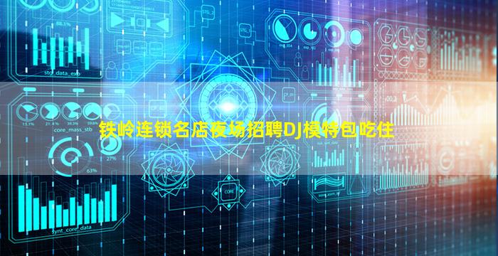 铁岭连锁名店夜场招聘DJ模特包吃住